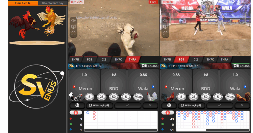 SV388 live đá gà