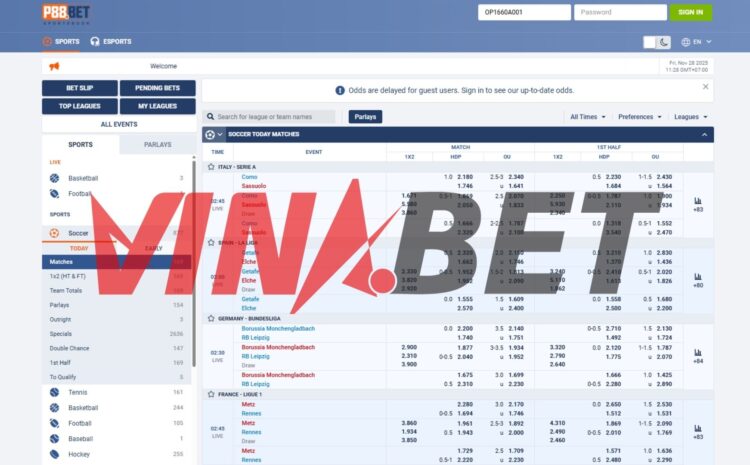 P88BET – Giải pháp vận hành thể thao tối ưu cho Super – Master – Agent trong hệ VINABET