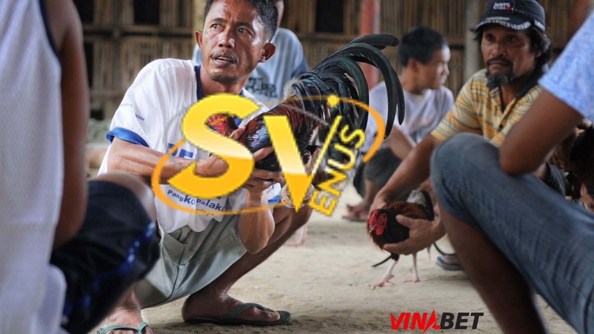 SV388 – NỀN TẢNG ĐÁ GÀ ĐƯỢC ĐẠI LÝ VIỆT NAM YÊU THÍCH NHẤT