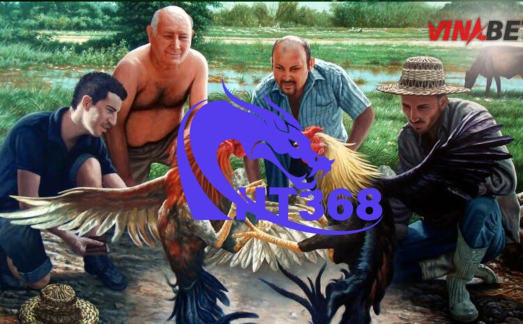 HT368 – Hướng đi chuyên biệt cho đại lý tập trung mảng đá gà