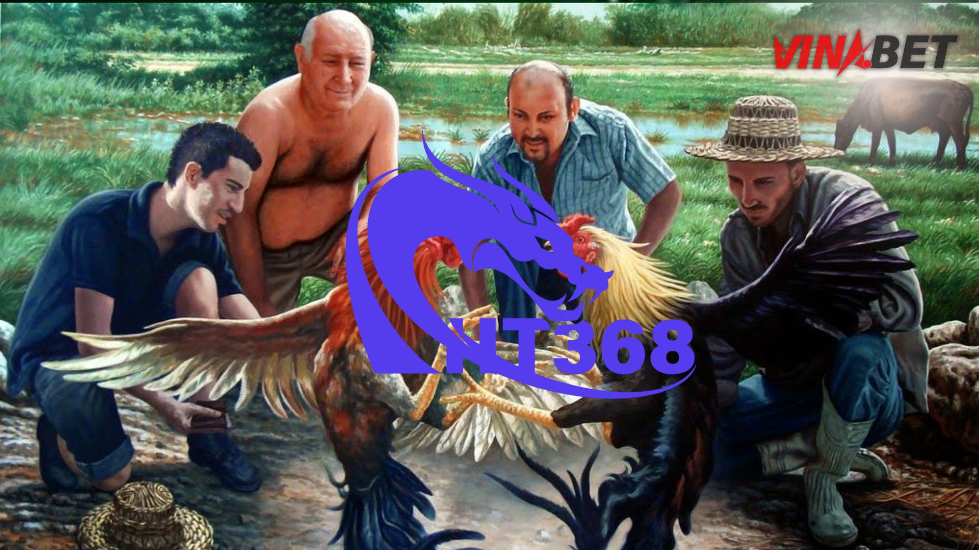 HT368 – Hướng đi chuyên biệt cho đại lý tập trung mảng đá gà