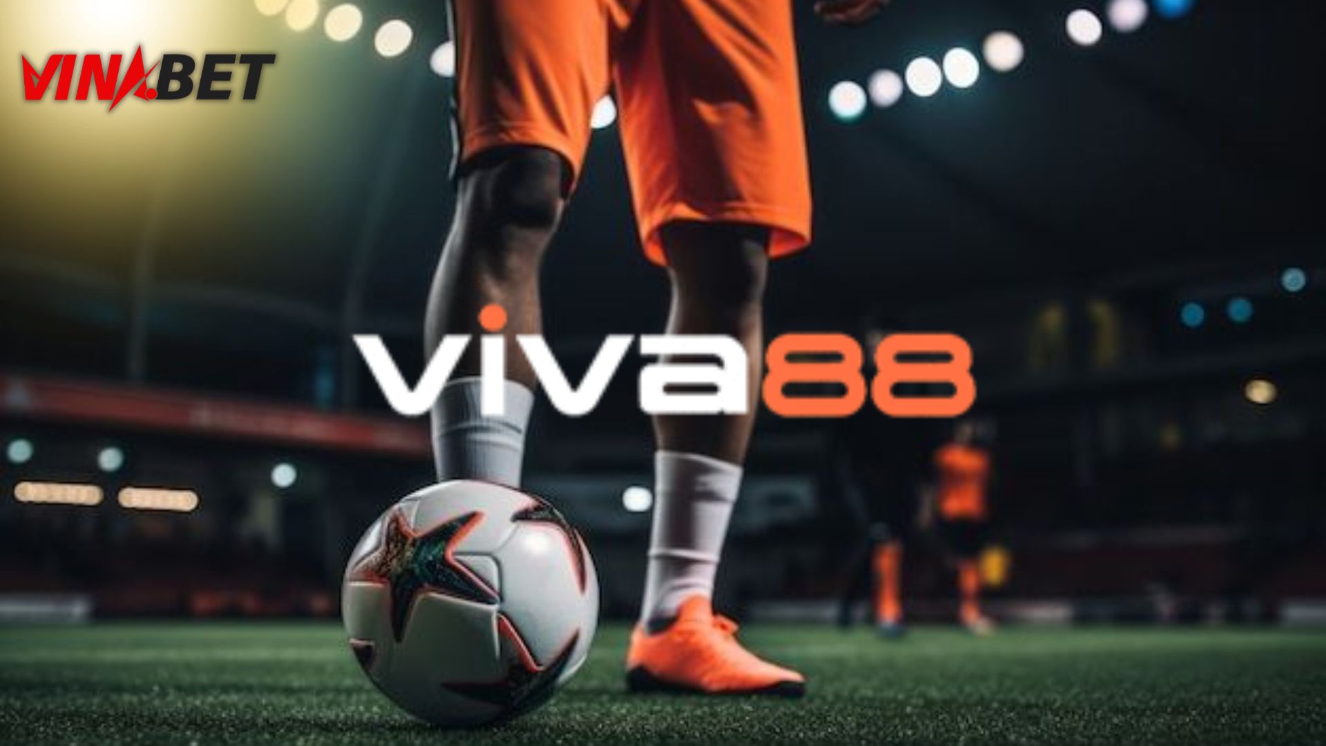 Làm thế nào để phân bổ VIVA88 phù hợp cho từng tuyến Agent?