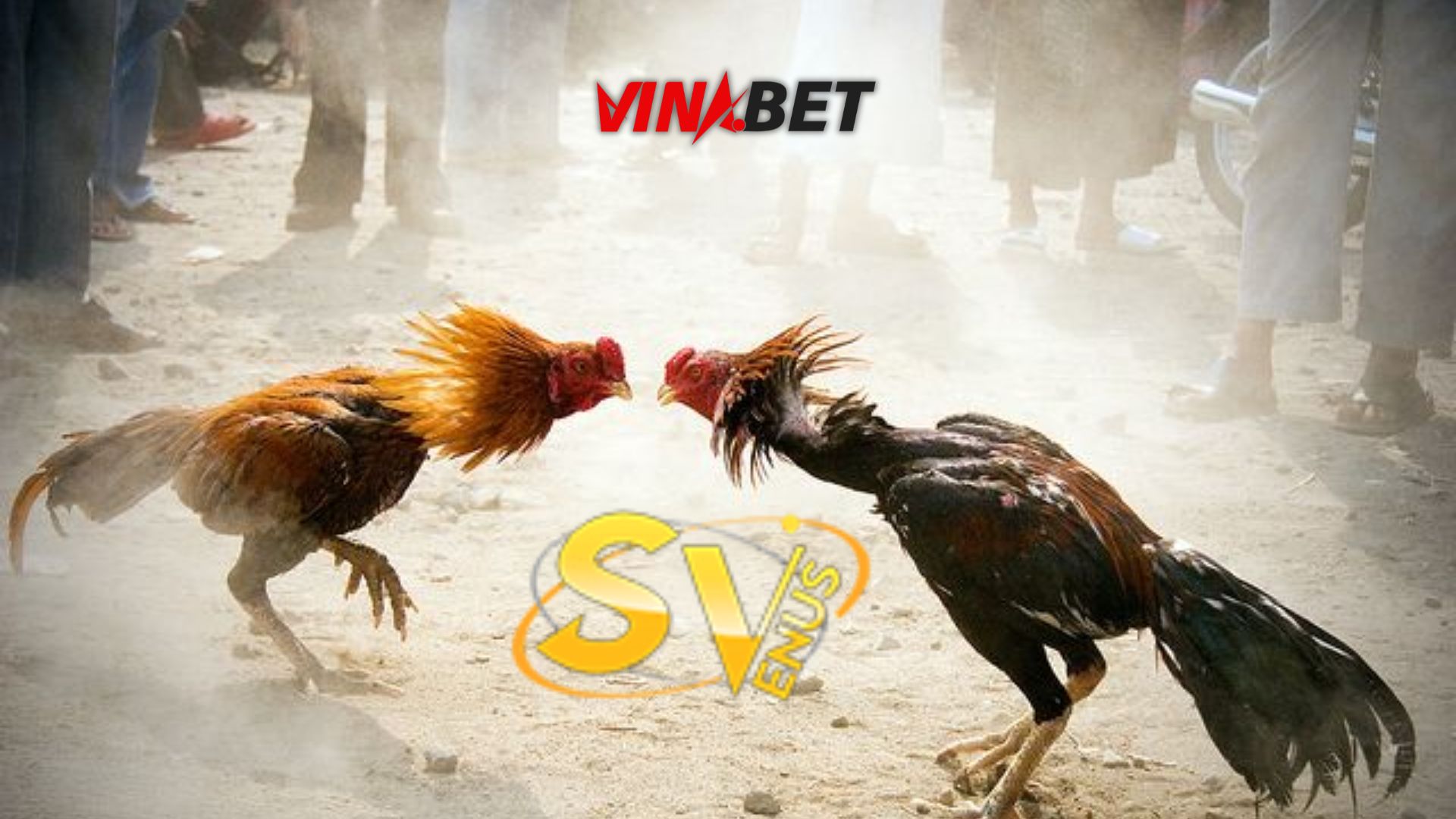 Hỗ trợ kỹ thuật 24/7 mang lại lợi ích gì khi triển khai SV388?